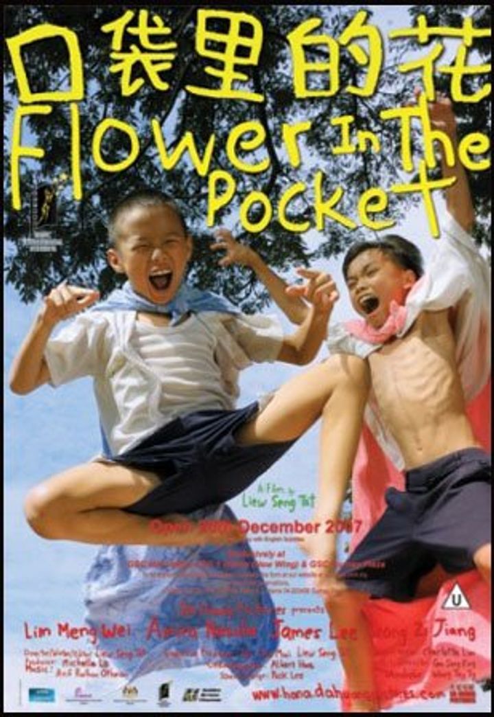 Flower In The Pocket (2007) Poster