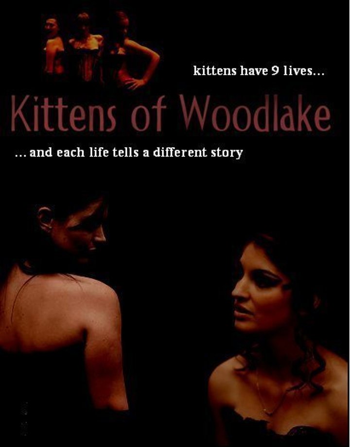 Kittens Of Woodlake (2011) Poster