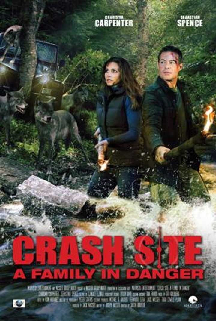 Crash Site (2011) Poster