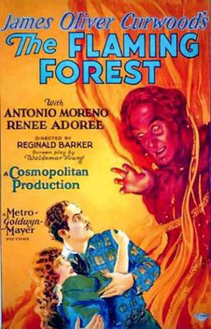 The Flaming Forest (1926) Poster