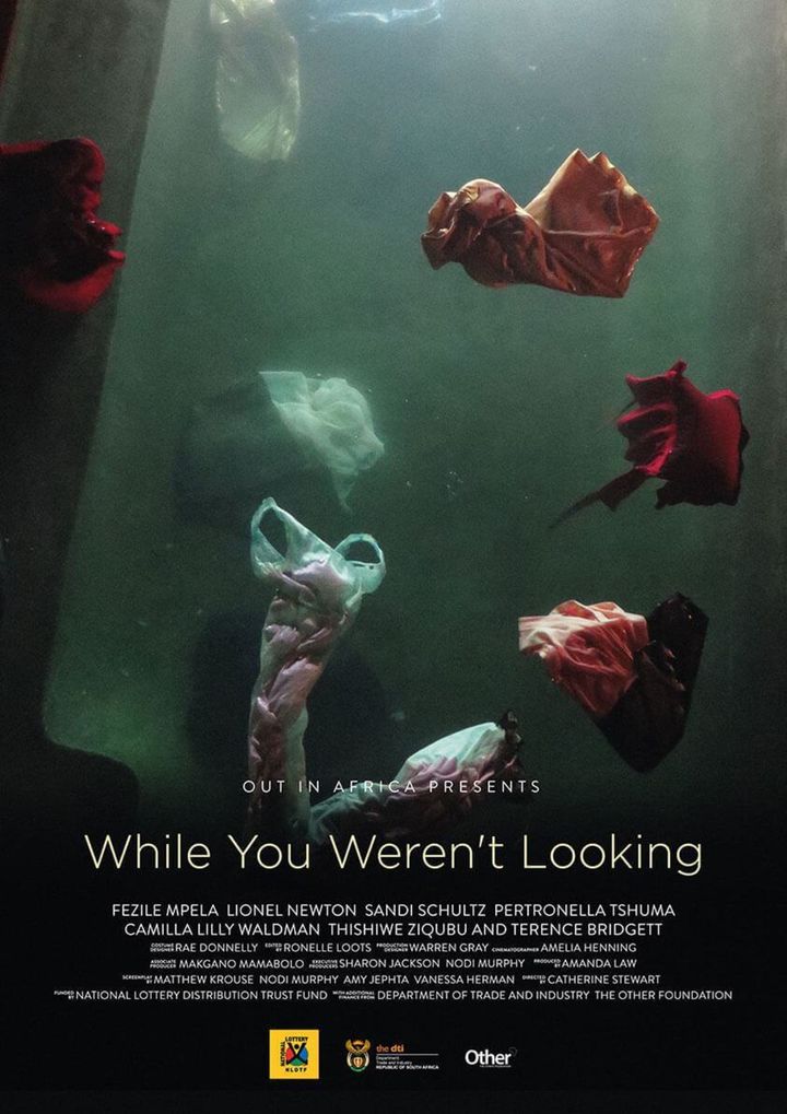 While You Weren't Looking (2015) Poster