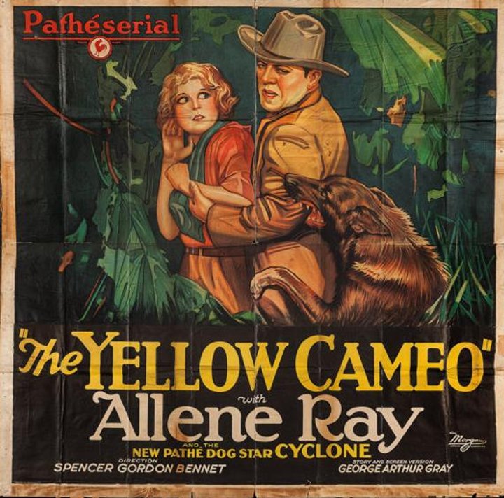 The Yellow Cameo (1928) Poster