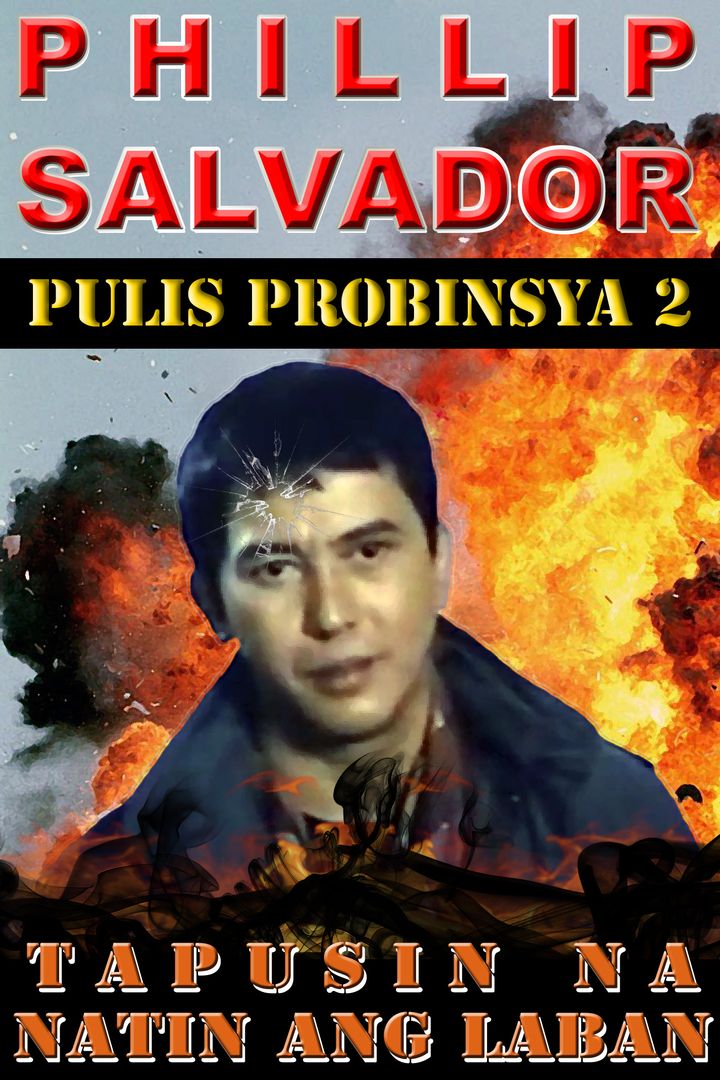 Pulis Probinsya Ii (1995) Poster