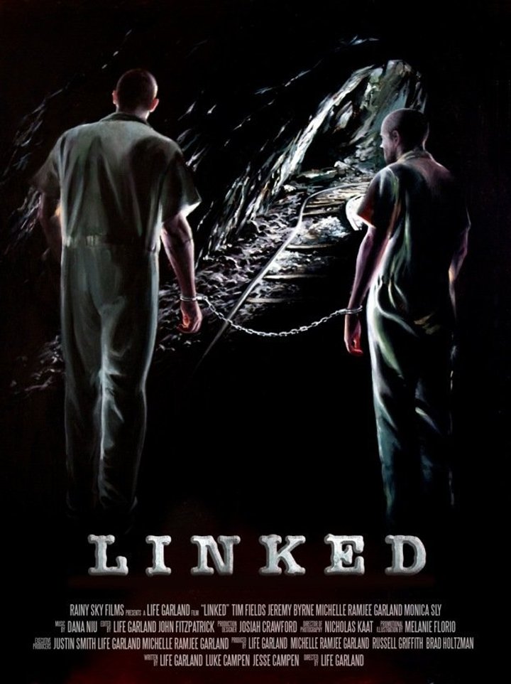 Linked (2013) Poster