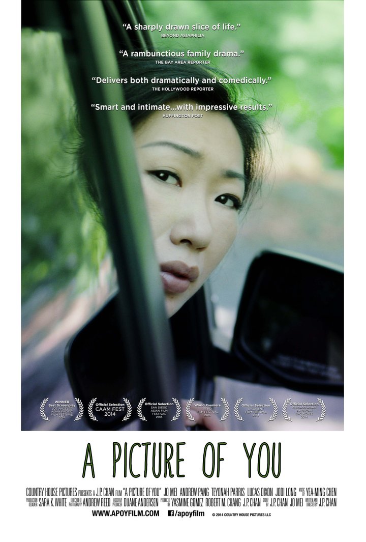 A Picture Of You (2013) Poster