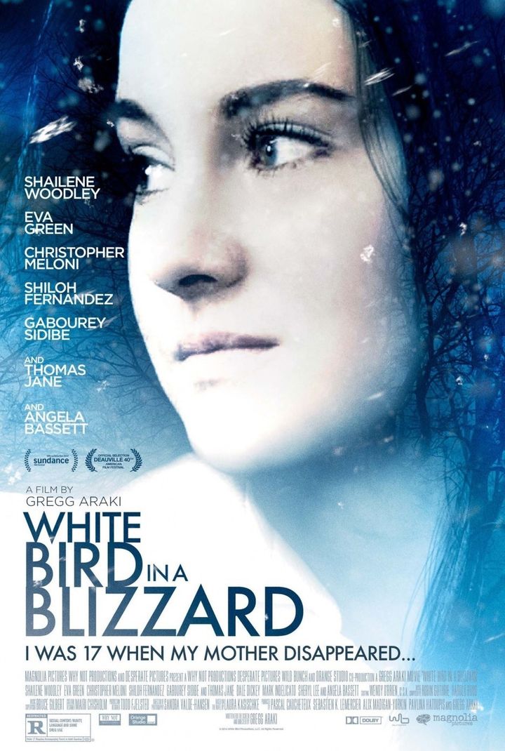 White Bird In A Blizzard (2014) Poster