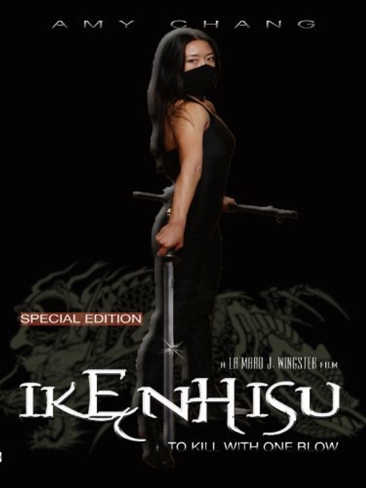 Ikenhisu: To Kill With One Blow (2009) Poster