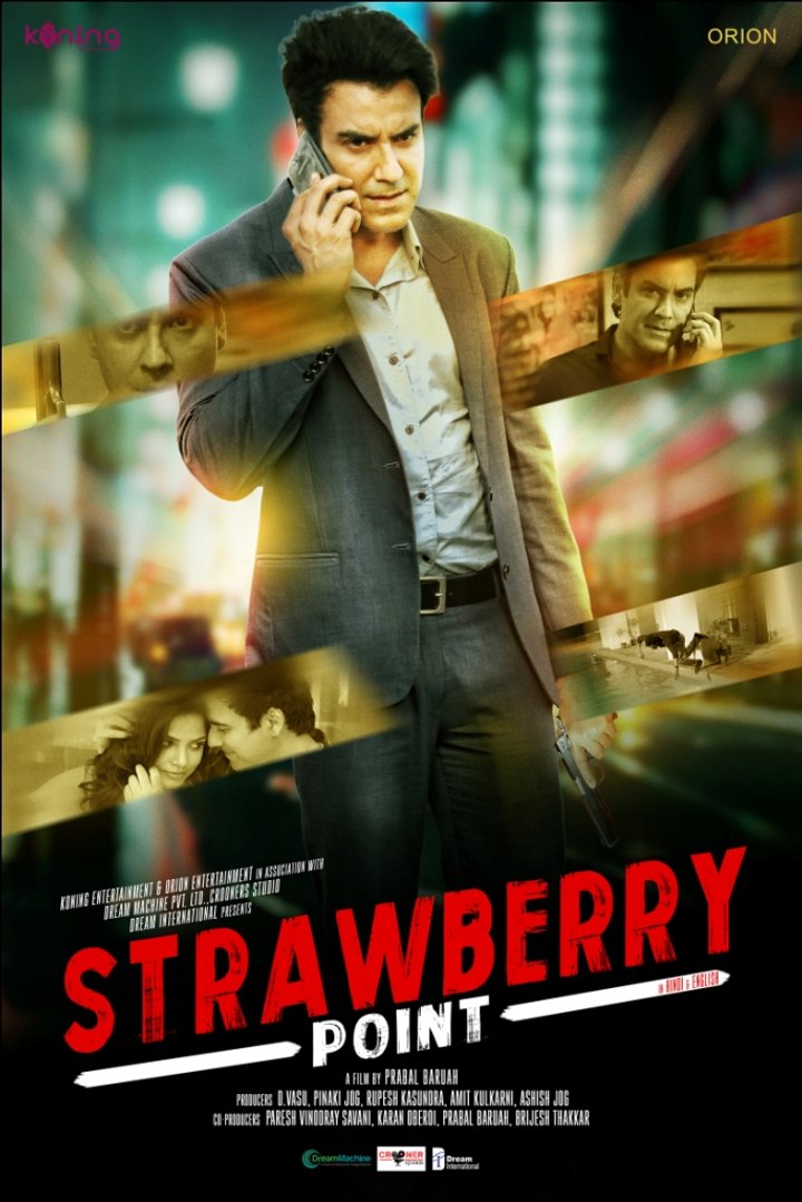 Strawberry Point (2019) Poster