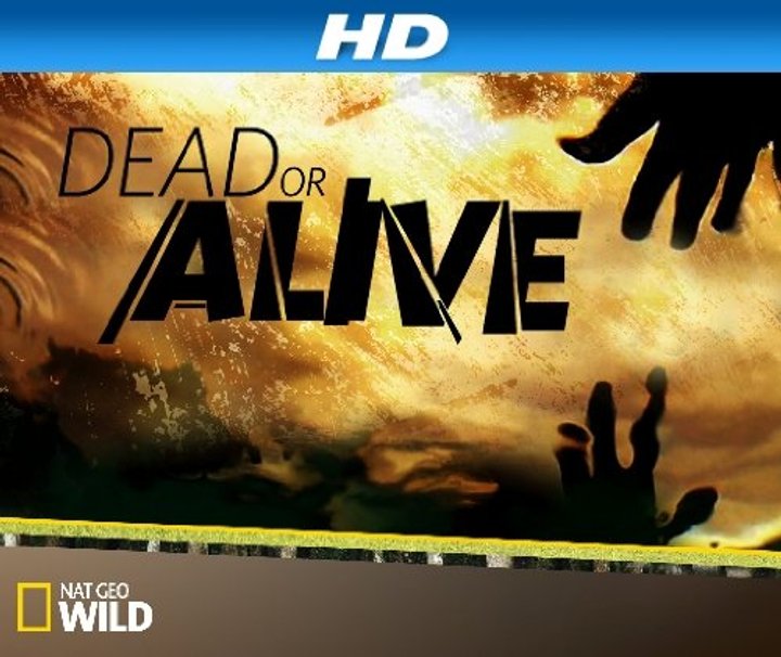 Dead Or Alive (2013) Poster