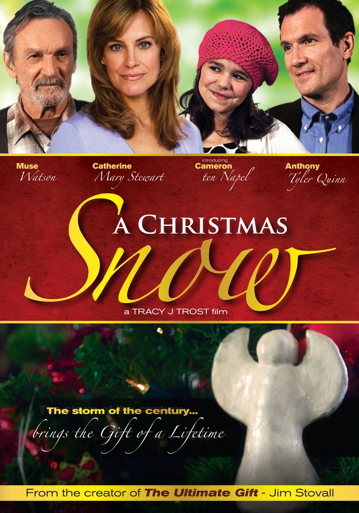 A Christmas Snow (2009) Poster