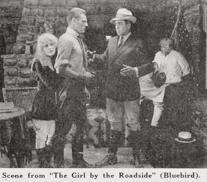 The Girl By The Roadside (1917) Poster