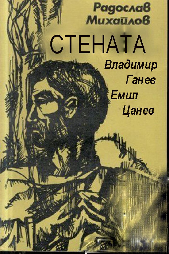 Stenata (1984) Poster