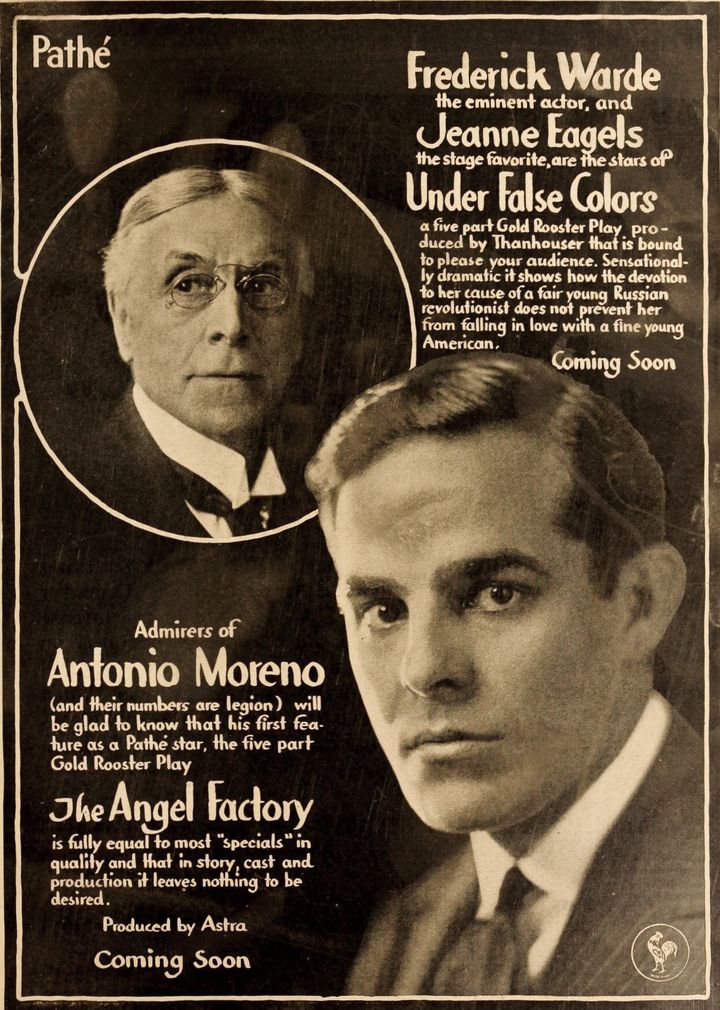 Under False Colors (1917) Poster