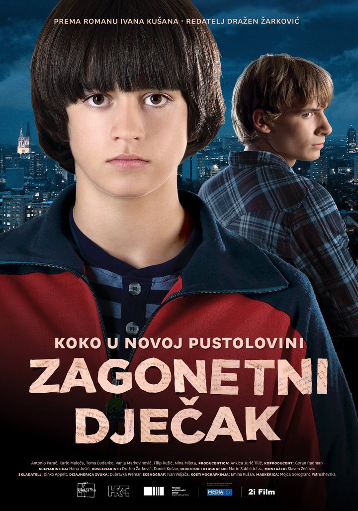 Zagonetni Djecak (2013) Poster