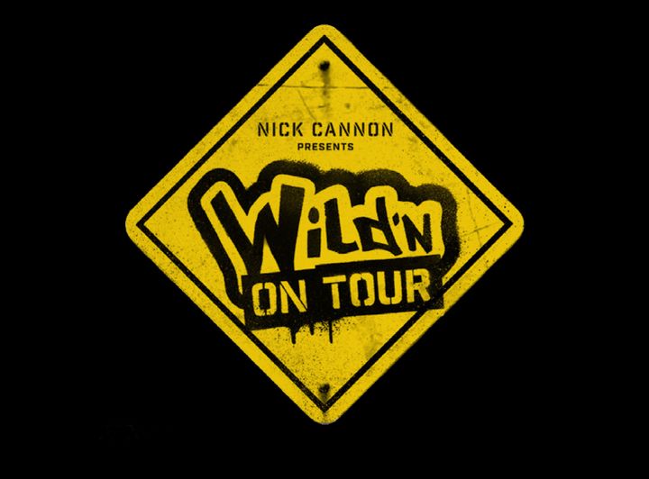 Wild 'n On Tour (2016) Poster