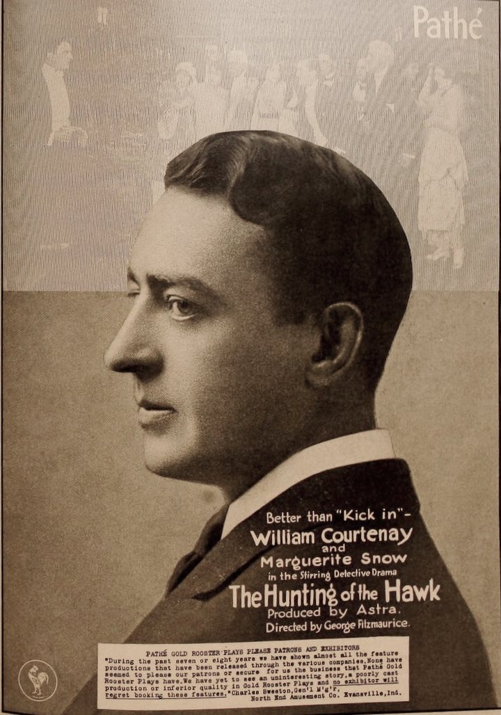 The Hunting Of The Hawk (1917) Poster