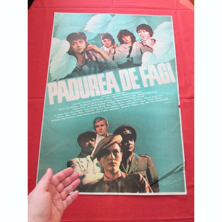 Padurea De Fagi (1987) Poster