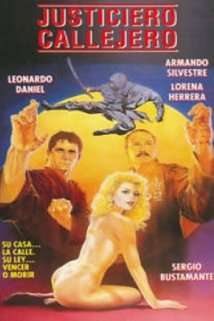 Justiciero Callejero (1990) Poster