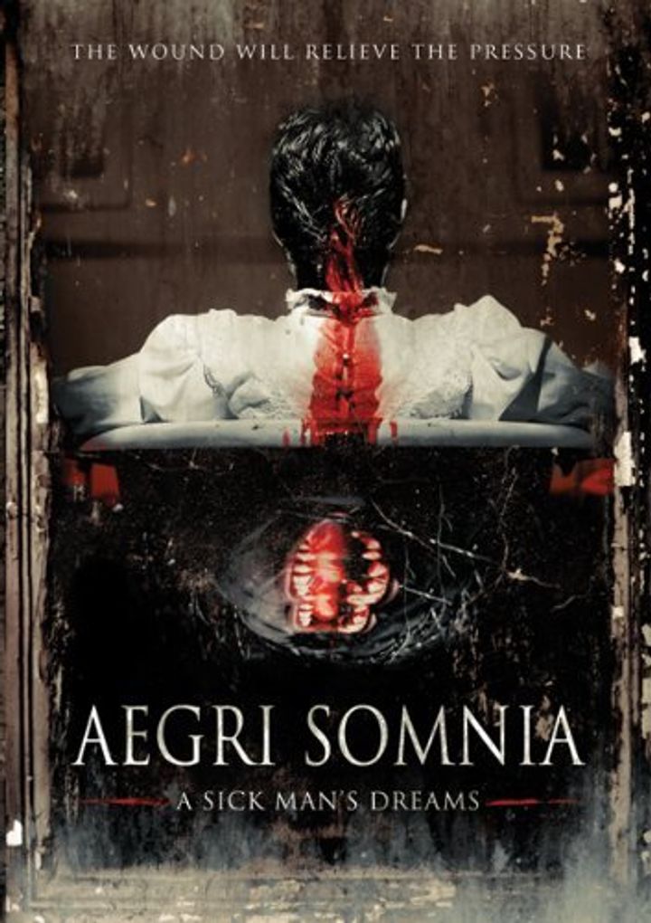 Aegri Somnia (2008) Poster