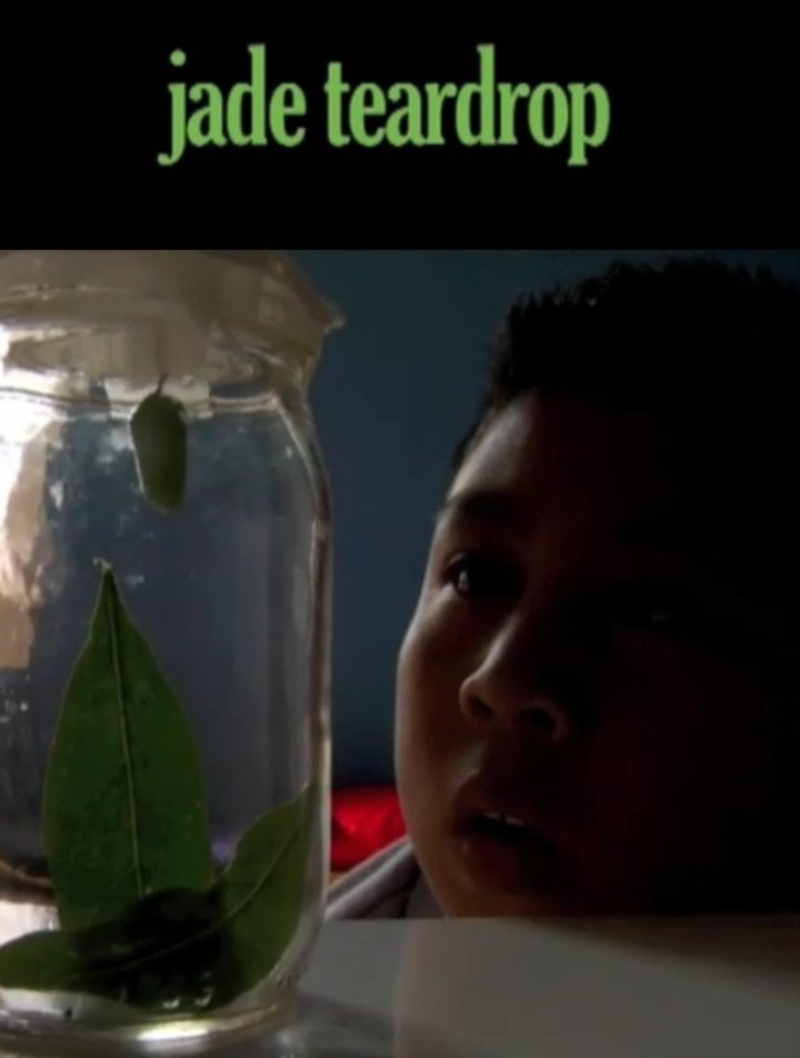 Jade Teardrop (2009) Poster