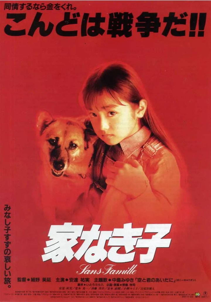 Ie Naki Ko (1994) Poster