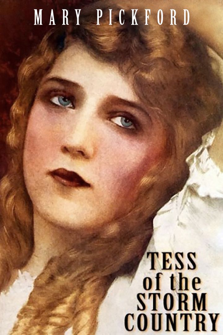 Tess Of The Storm Country (1914) Poster