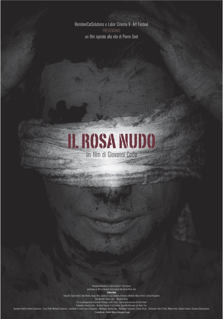 Il Rosa Nudo (2013) Poster