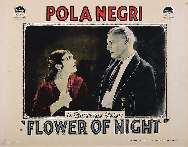 Flower Of Night (1925) Poster