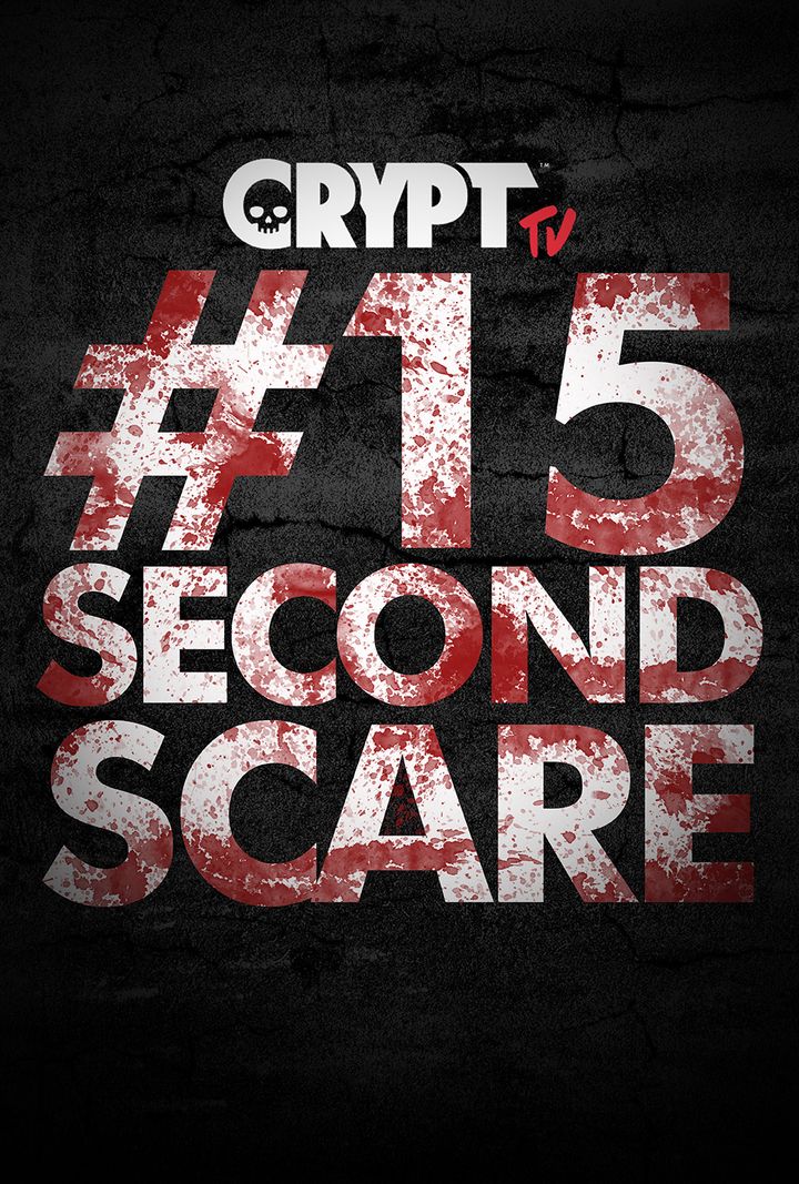 #15secondscare (2015) Poster