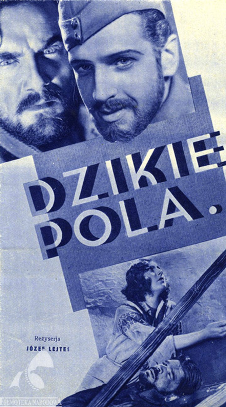 Dzikie Pola (1932) Poster