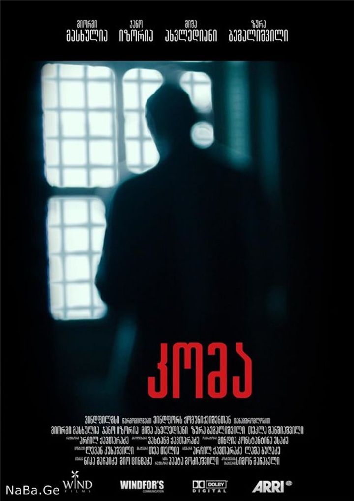 Koma (2013) Poster