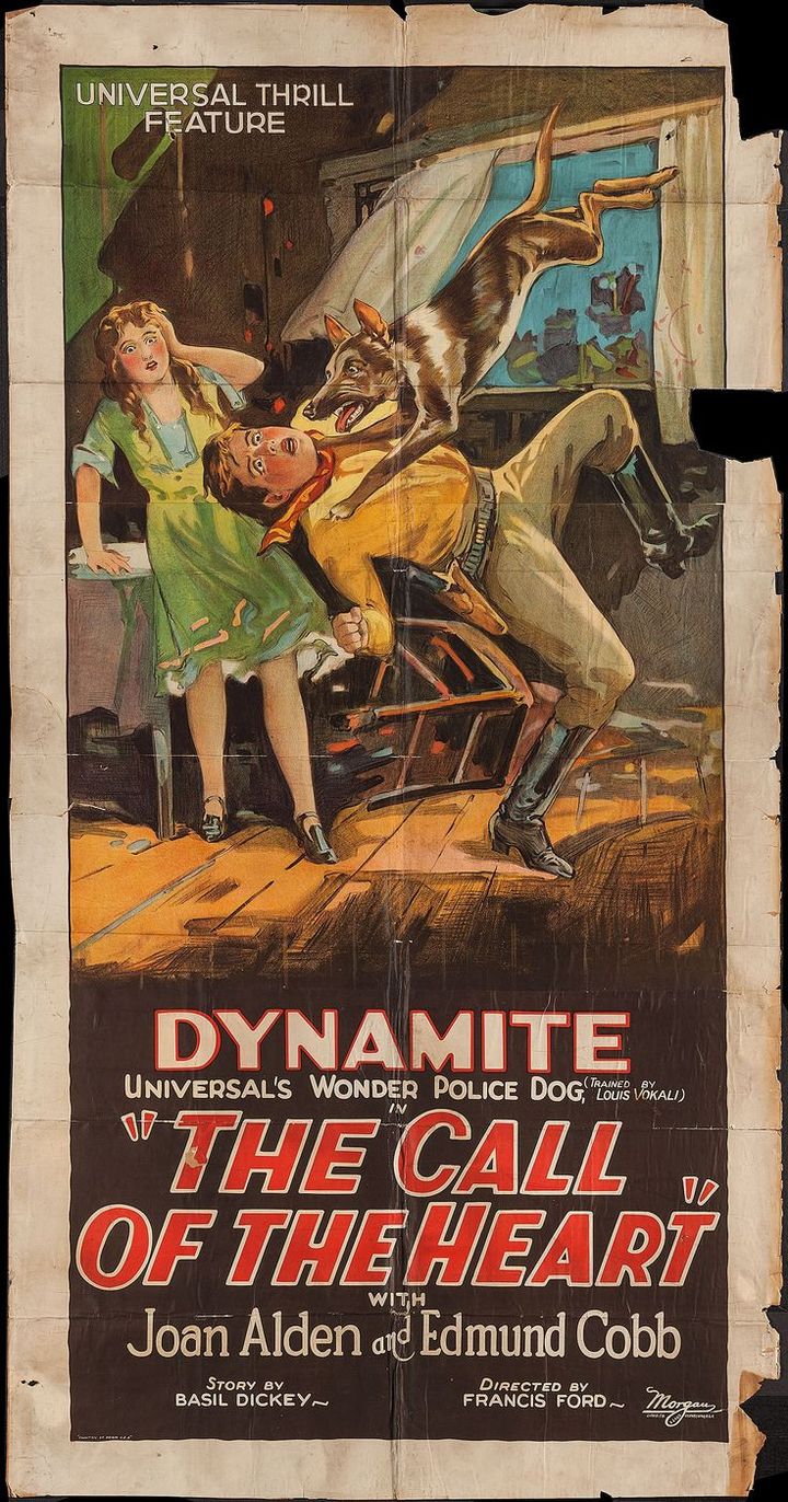 The Call Of The Heart (1928) Poster