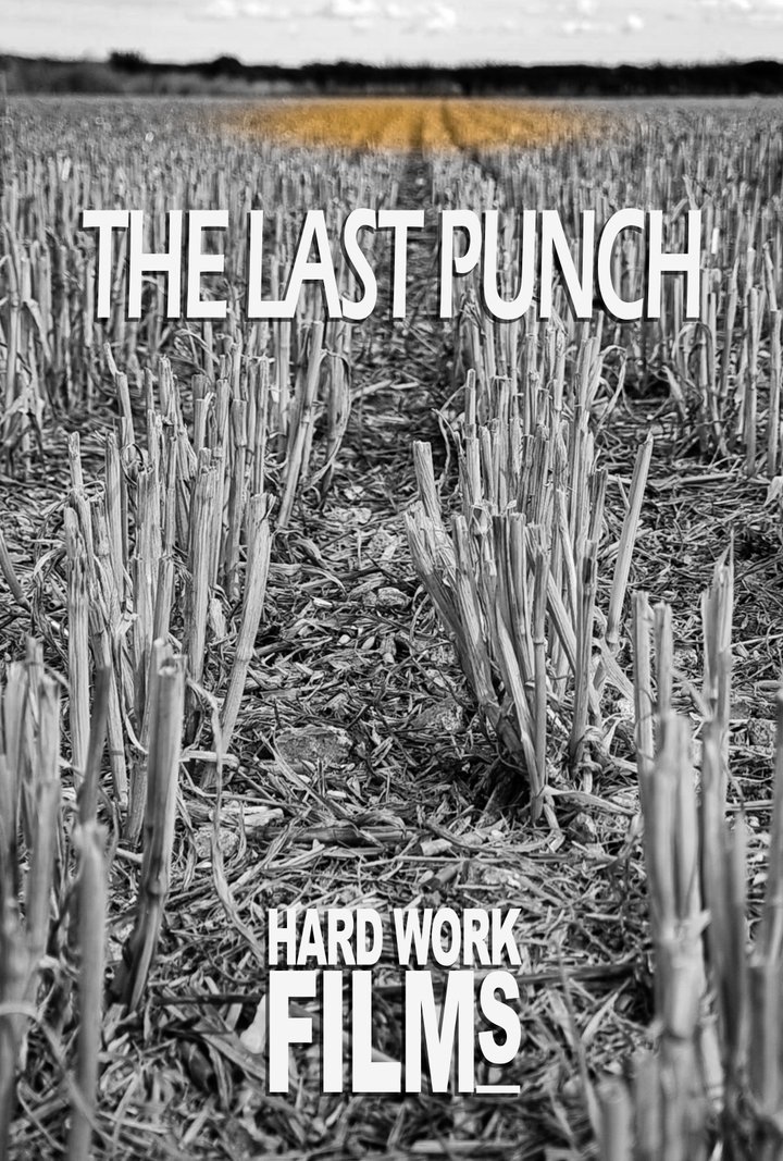 The Last Punch Poster