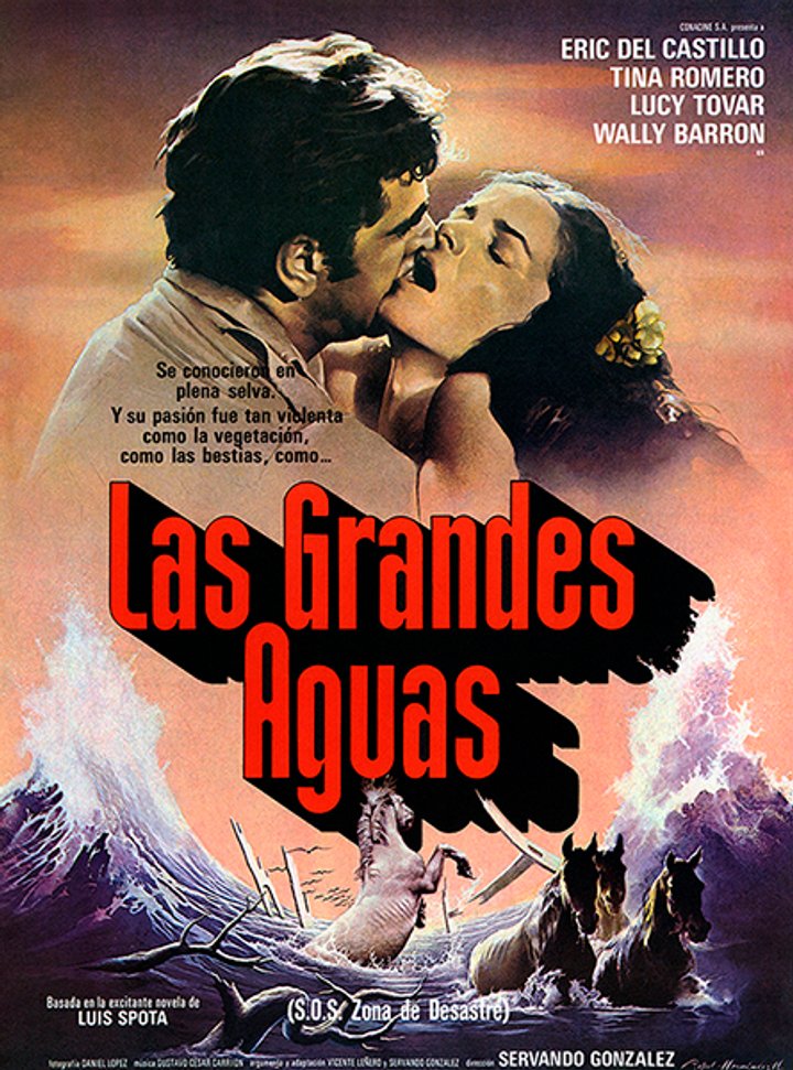 Las Grandes Aguas (1980) Poster