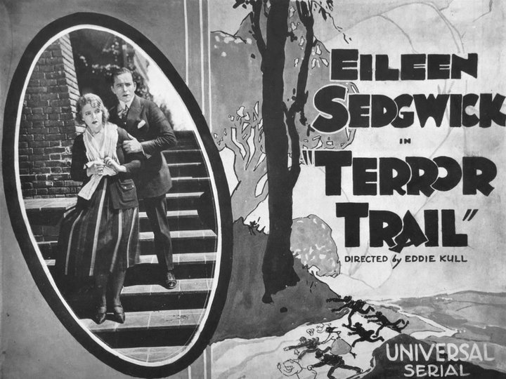 Terror Trail (1921) Poster