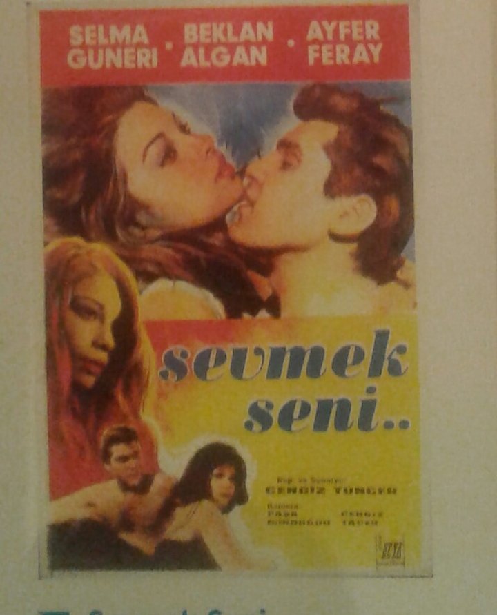 Sevmek Seni (1965) Poster