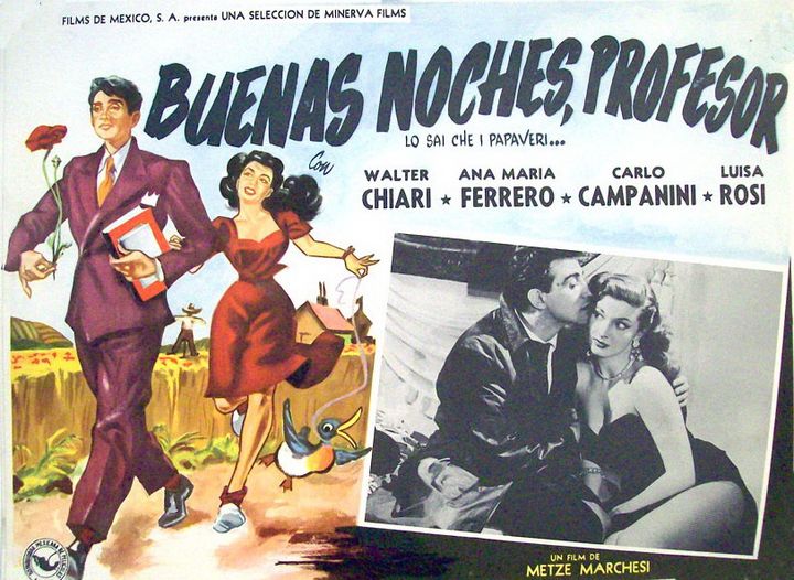 Lo Sai Che I Papaveri (1952) Poster