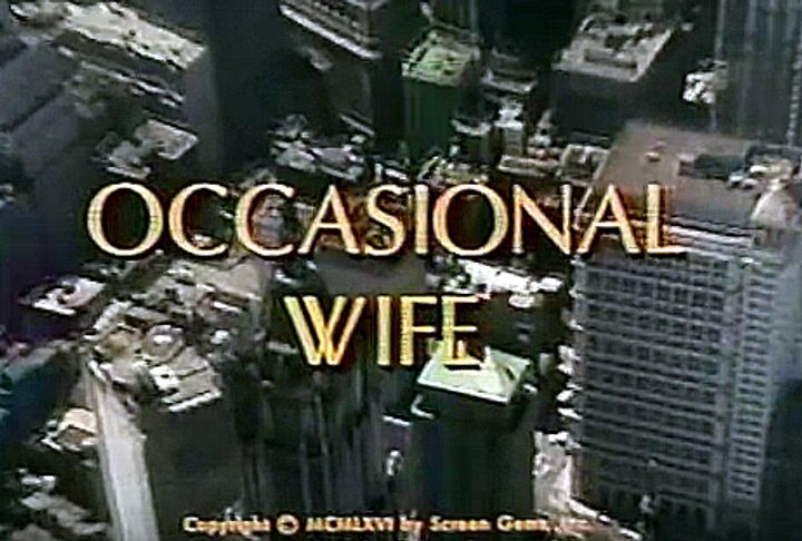 Occasional Wife (1966) Poster