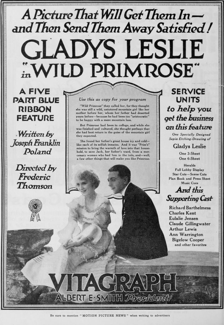 Wild Primrose (1918) Poster