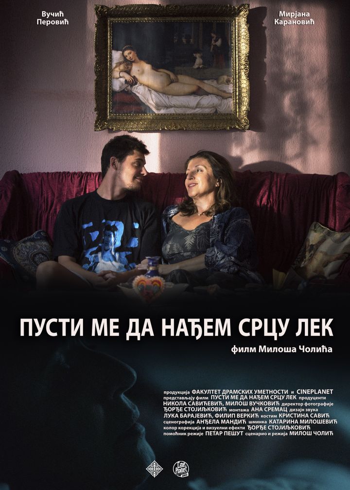 Pusti Me Da Nadjem Srcu Lek (2017) Poster