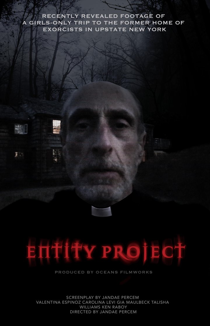 Entity Project (2019) Poster