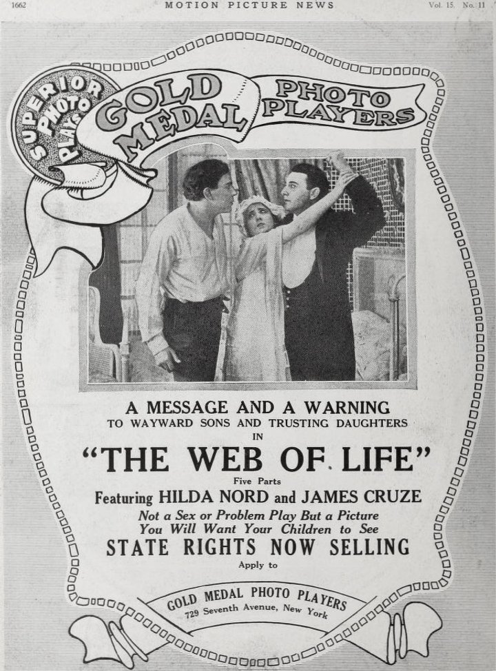 The Web Of Life (1917) Poster