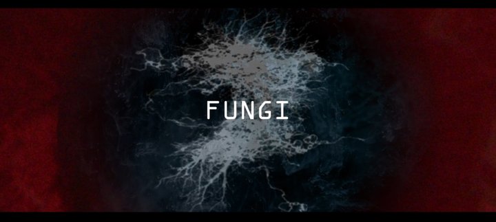 Fungi (2023) Poster