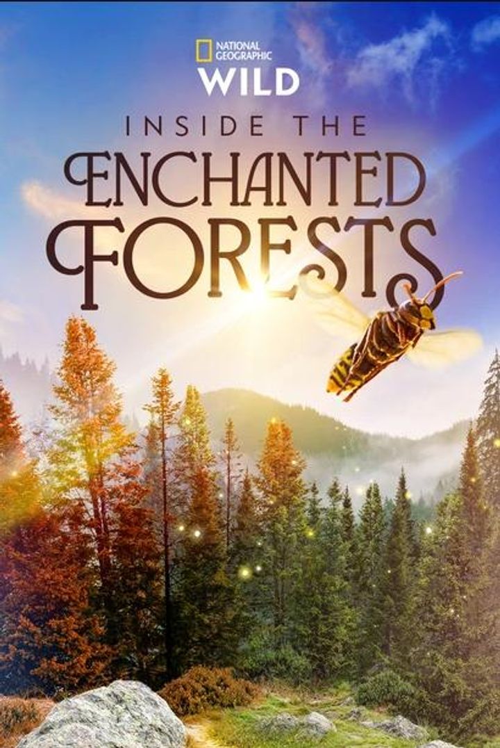 Inside The Enchanted Forests (2024) Poster