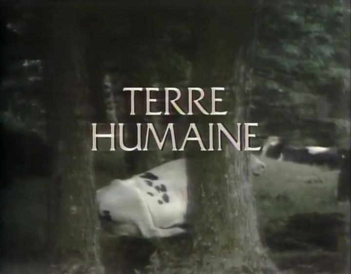 Terre Humaine (1978) Poster