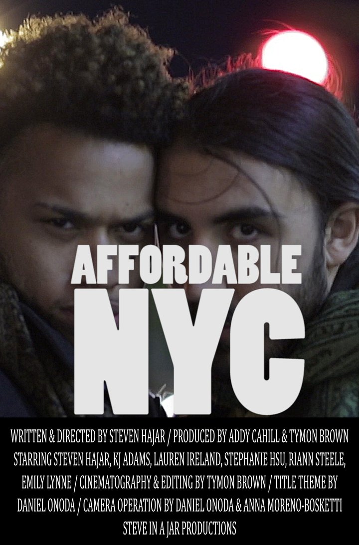 Affordable Nyc (2016) Poster