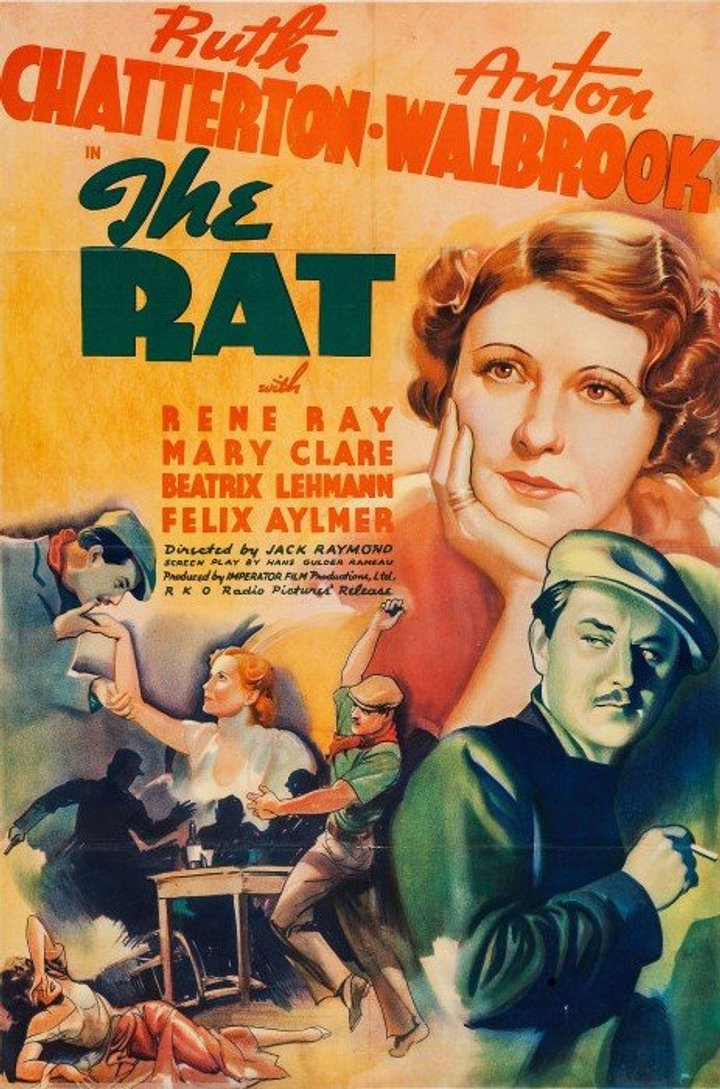 The Rat (1937) Poster