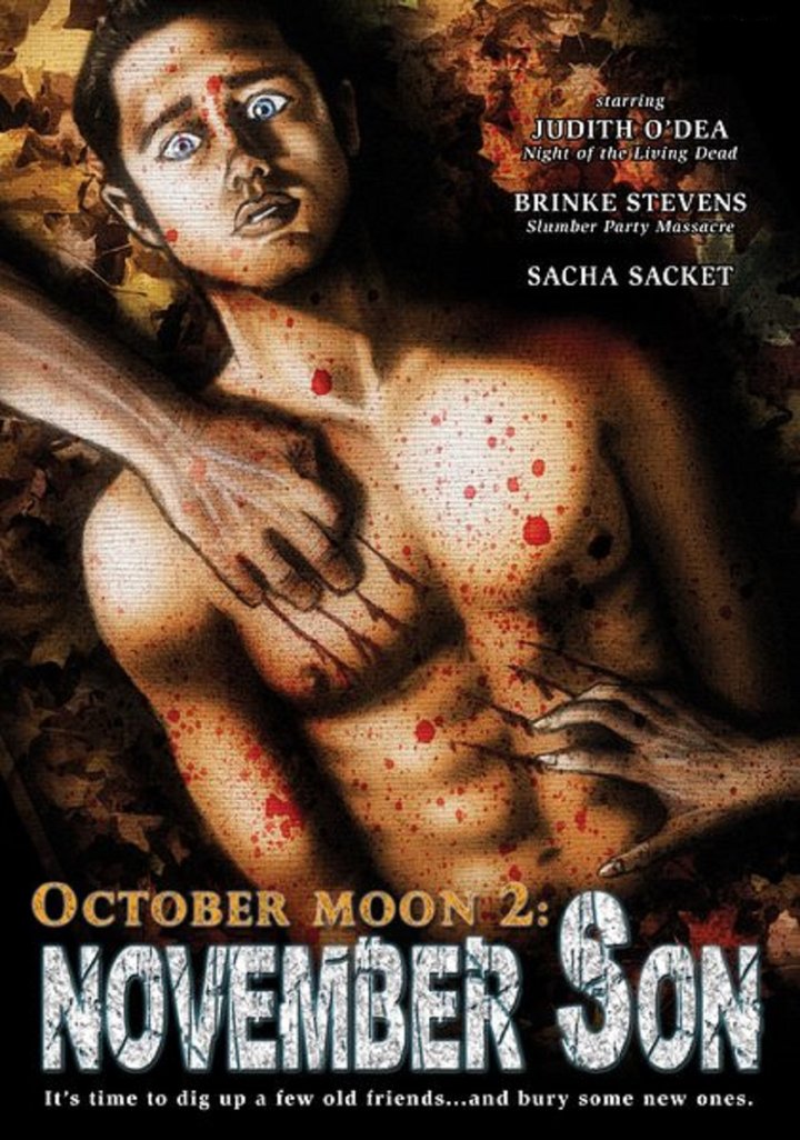 October Moon 2: November Son (2008) Poster