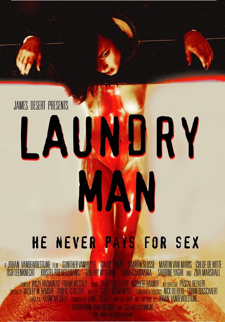 Laundry Man (2016) Poster