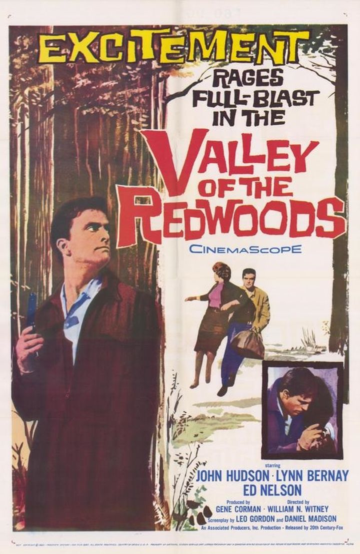 Valley Of The Redwoods (1960) Poster